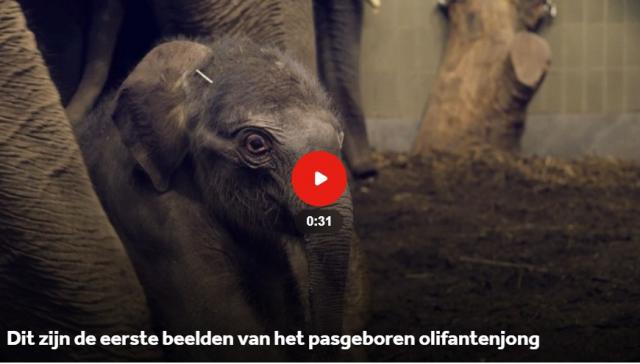 dagflits 2 26-12-20…