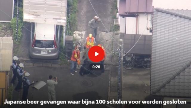 dagflits 10 juni 20…