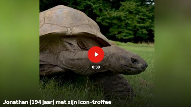 dagflits 20 juni 20…