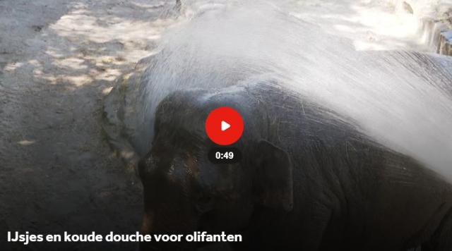 dagflits 27 juni 20…